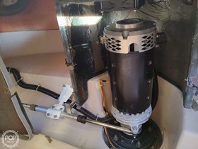 Buy 2010 Duffy 22