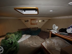 1975 Striker 44