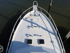 Buy 1975 Striker 44