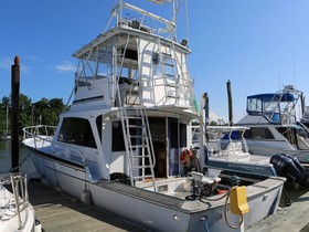 1975 Striker 44