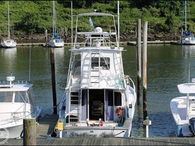 Buy 1975 Striker 44