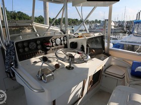 Buy 1975 Striker 44