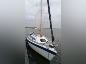 Buy 1986 Dehler 25