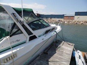 Osta 1989 Sea Ray 300 Sundancer