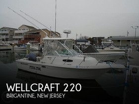 Wellcraft 220 Coastal