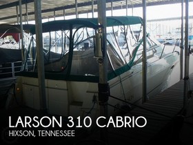 Larson 310 Cabrio