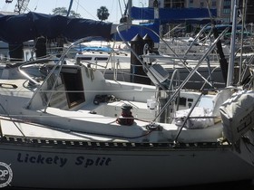 1981 C&C 40 in vendita