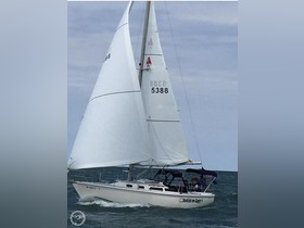 1988 Catalina 30 Mkii Tall Mast
