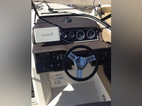 Koupit 2016 Sea Ray 250 Ss