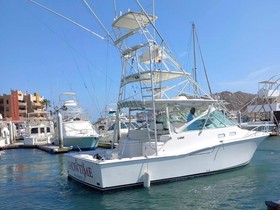 Buy 2004 Cabo Yachts