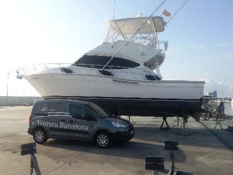 Bertram 410