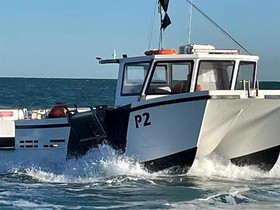 2021 Phantom Boats Marine Aquafish Pmc9.9