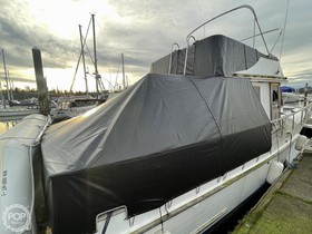 Buy 1981 CHB 34 Dc