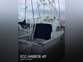 1973 Egg Harbor 38 Sedan Fisherman for sale