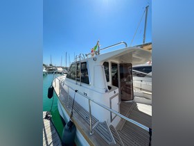 Sciallino 33