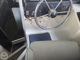 1988 Bayliner Avanti 2955