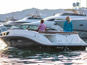 2022 Sea Ray 230 Sunsport + 250 Ps for sale