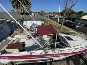 1987 Sea Ray 250 Sundancer satın almak