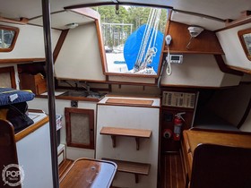 1982 Nightwind Pathfinder na sprzedaż