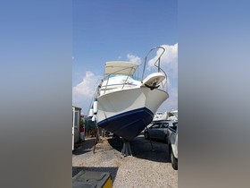 Buy 1986 Bertram 28