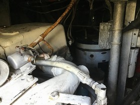Buy 1985 Bertram 38 Special