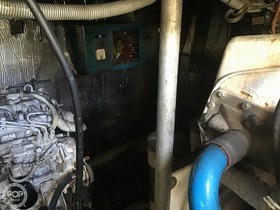 1985 Bertram 38 Special for sale