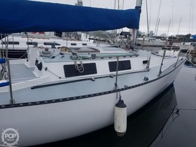 1983 WD Schock 36 for sale