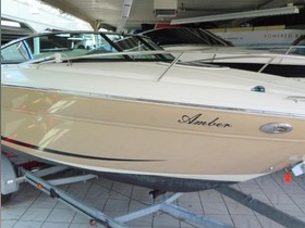 Sea Ray 210 Sse