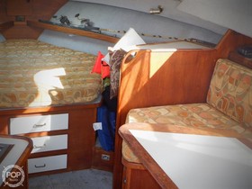 1987 Pacemaker Yachts 31 in vendita