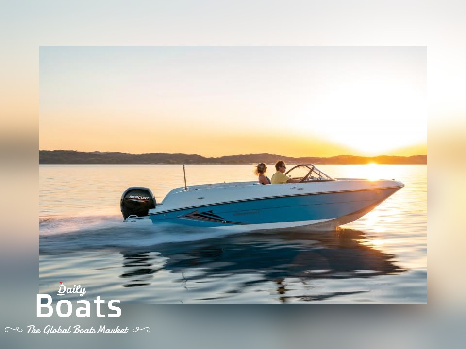 Bayliner E21