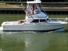 1991 Bertram Fb Cruiser 28 kopen