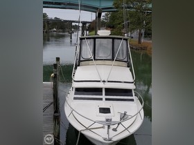 1991 Bertram Fb Cruiser 28 te koop