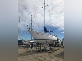 1977 SHE 36 for sale