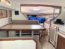 1987 Sea Ray Sundancer 300