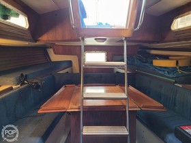 1982 New York 36 for sale