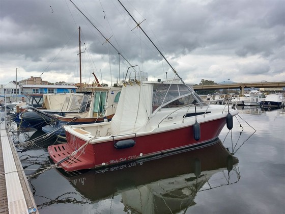 Fishing boats
