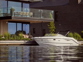 Sea Ray 250 SLXE