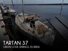 Tartan Yachts 37