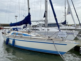 Olsen Yacht 31