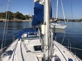 Buy 1984 Canadian Sailcraft 36