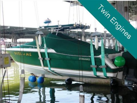 Stamas 290 Tarpon
