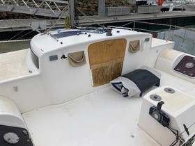 catamaran edel cat 28