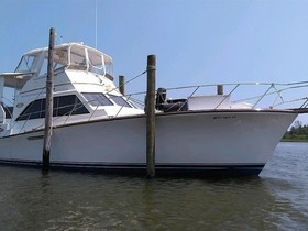 Buy 1984 Ocean Yachts Sunliner