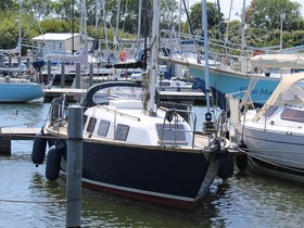 Narwal 38