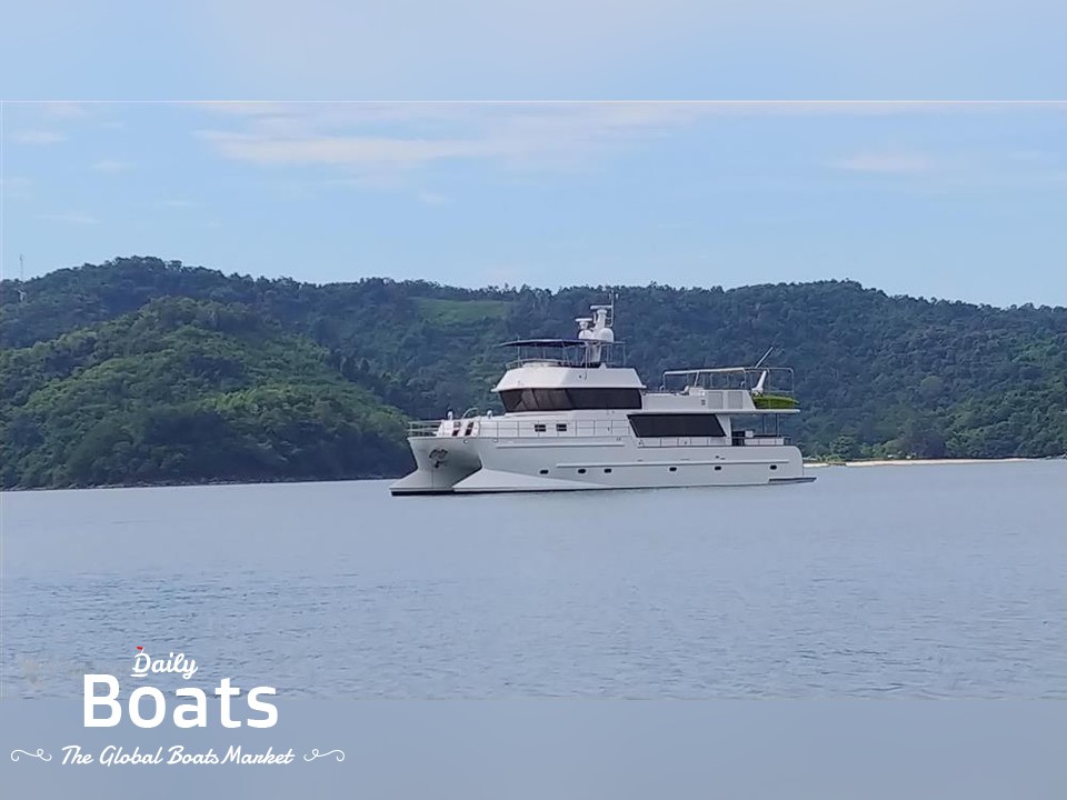 2008  Trawler Catamaran