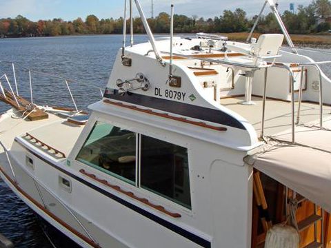 1981 Bruno Stillman for sale
