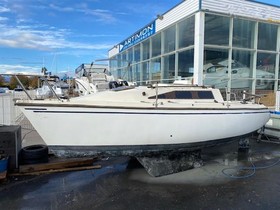 Comprar 1981 Wrighton Biloup 765