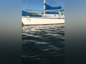 1998 Custom kopen