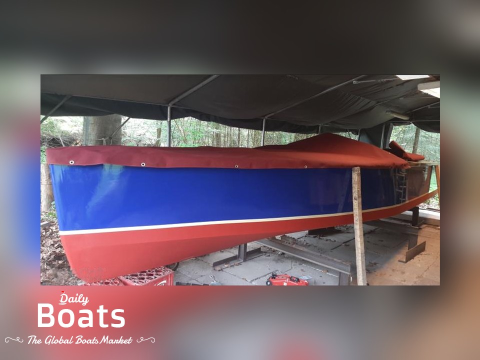 2010 Custom Runabout 800 for sale. View price, photos and Buy 2010