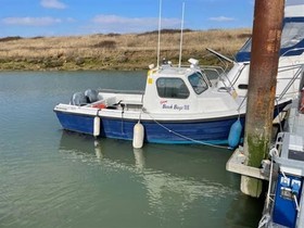 2001 Orkney Boats Day Angler 19+ satın almak
